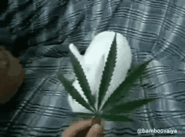 GIF_20260426_144654_499.gif