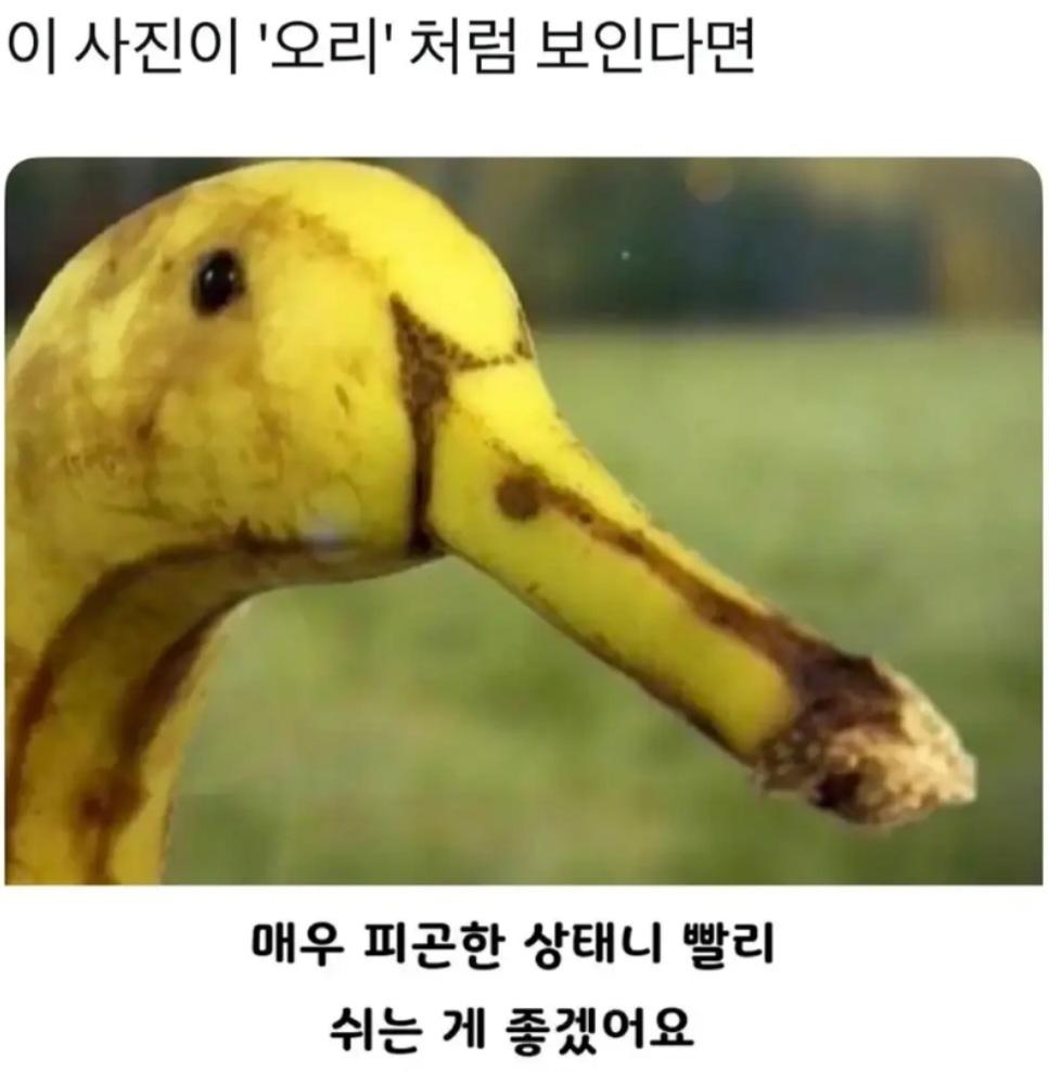 1000014426.jpg