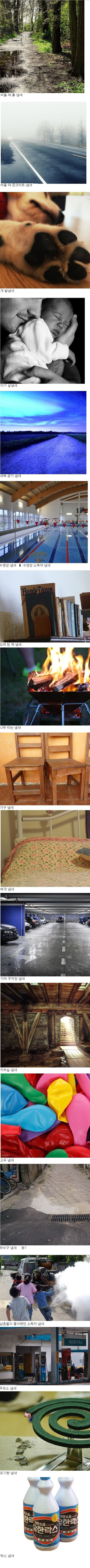 냄새.jpg