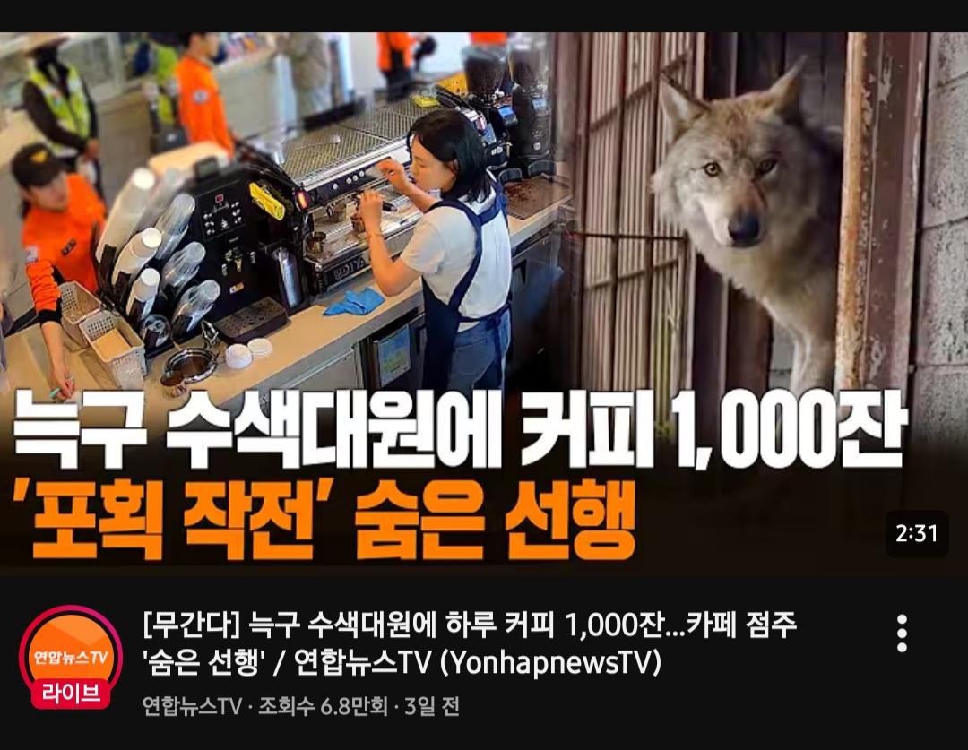 8140.jpg