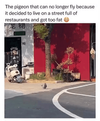 GIF_20260427_125040_631.gif