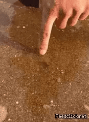 GIF_20260427_154256_391.gif