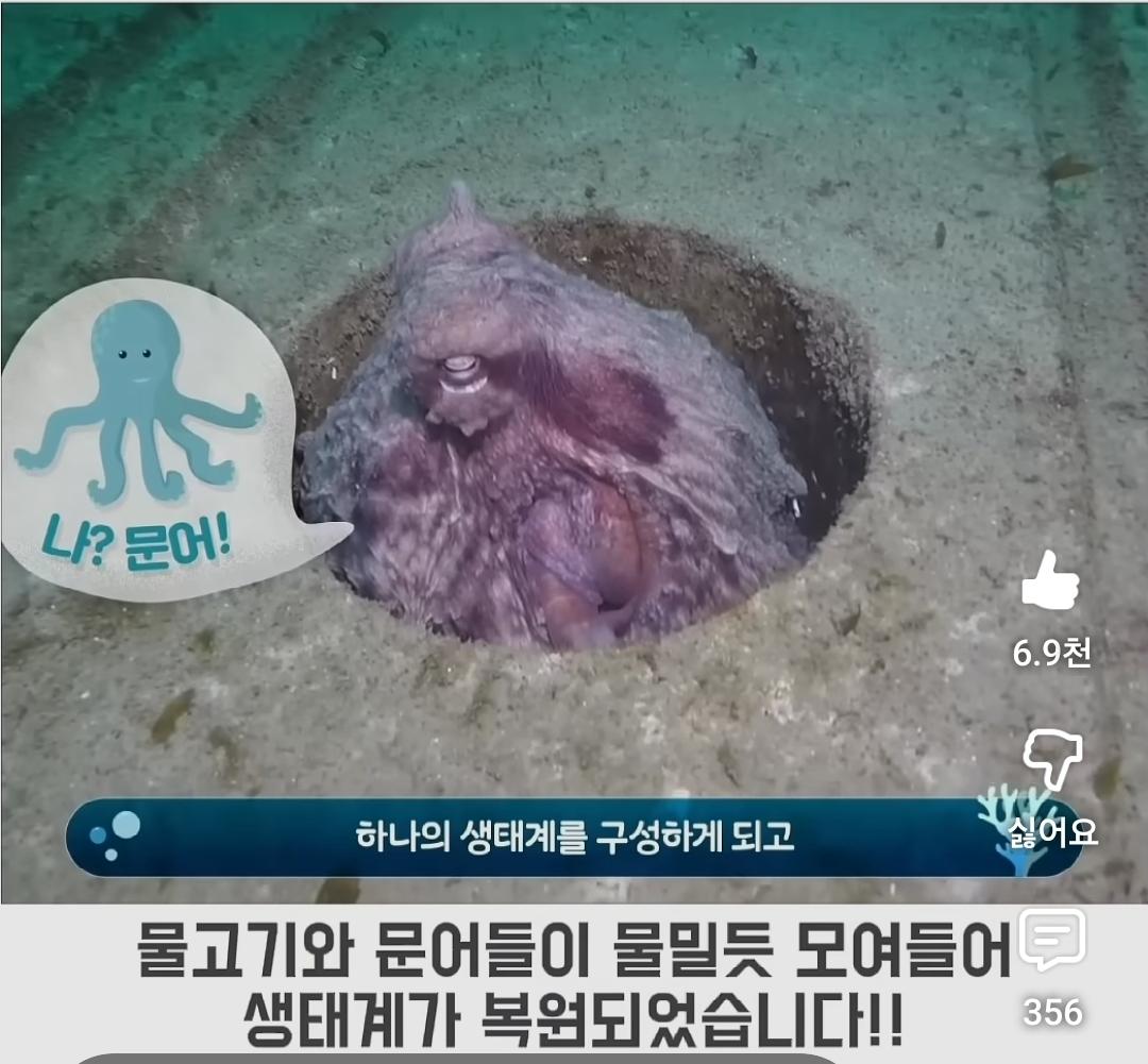 Screenshot_20260427_194849_YouTube.jpg