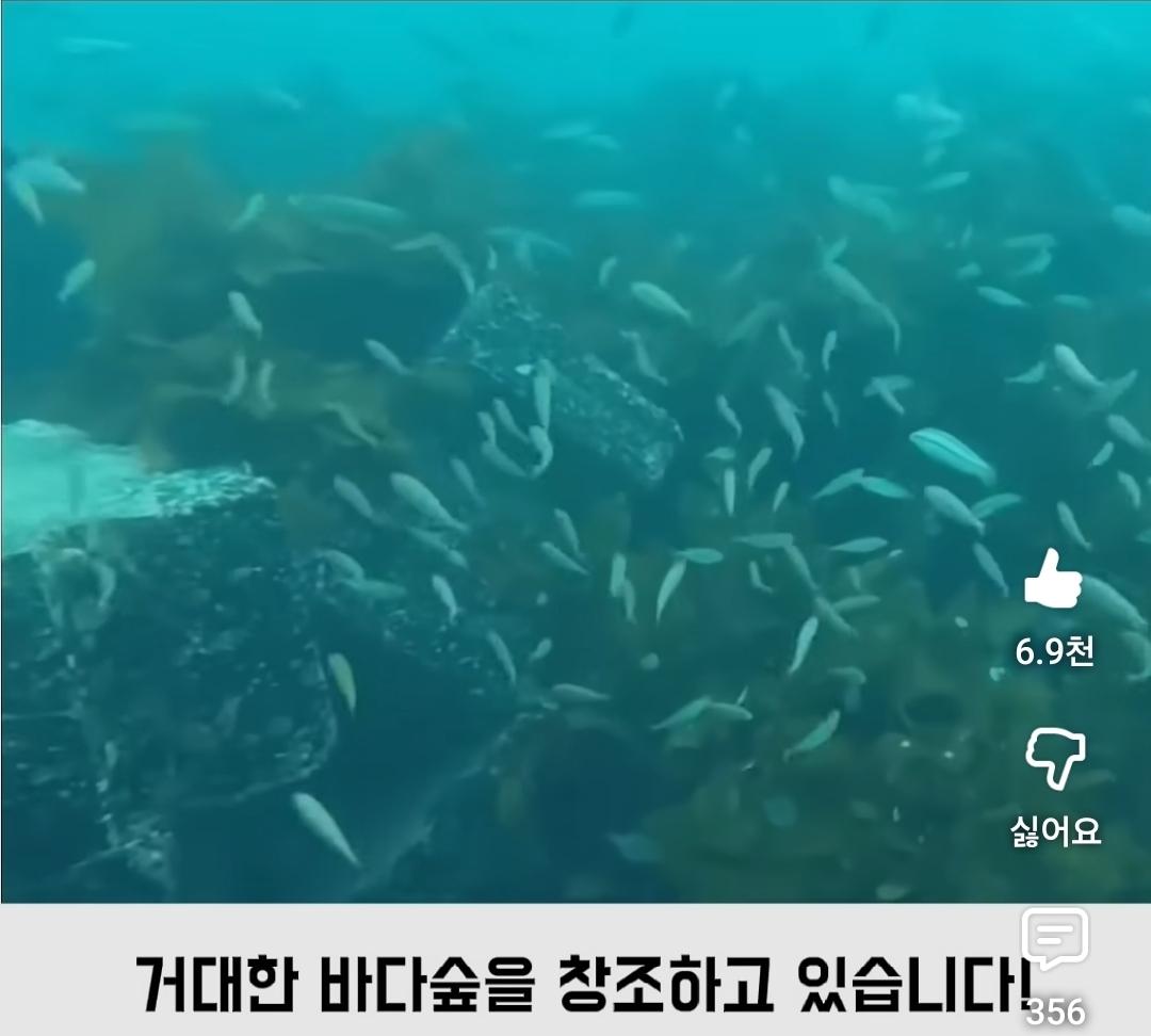 Screenshot_20260427_194940_YouTube.jpg