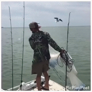 투망.gif