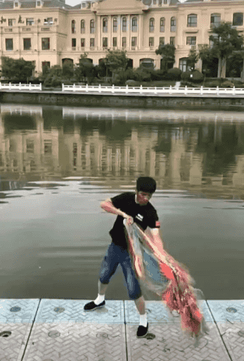 투망5.gif