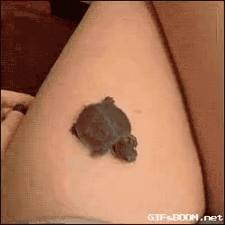 GIF_20260428_101705_941.gif