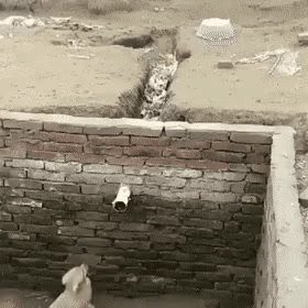 GIF_20260428_103857_899.gif