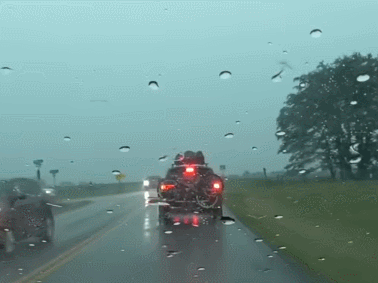 19cc044001e598b75.gif
