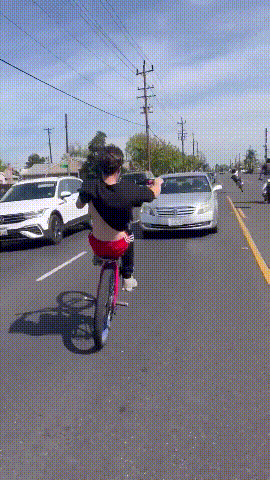 1.gif