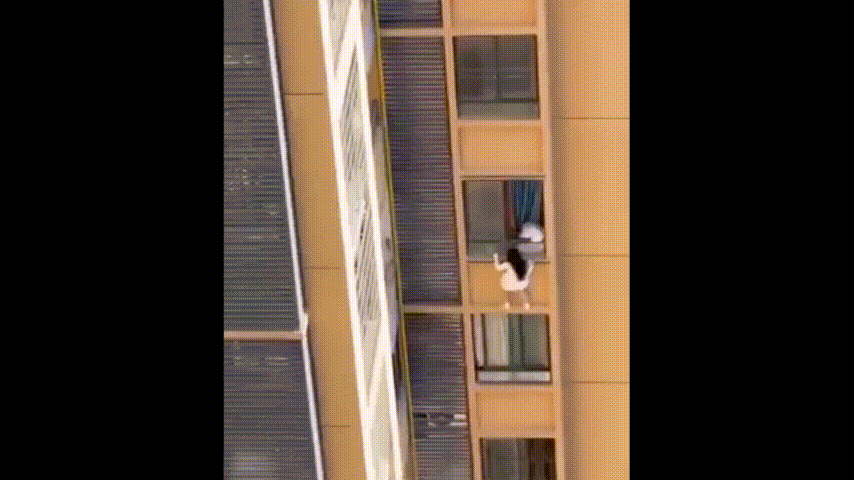 1.gif