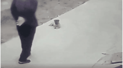 GIF_20260428_202736_223.gif