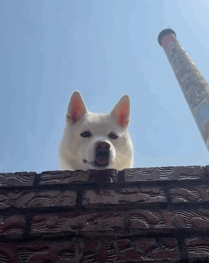 IMB_b7rBo8.gif