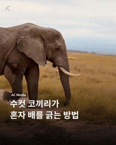 1000051853.gif