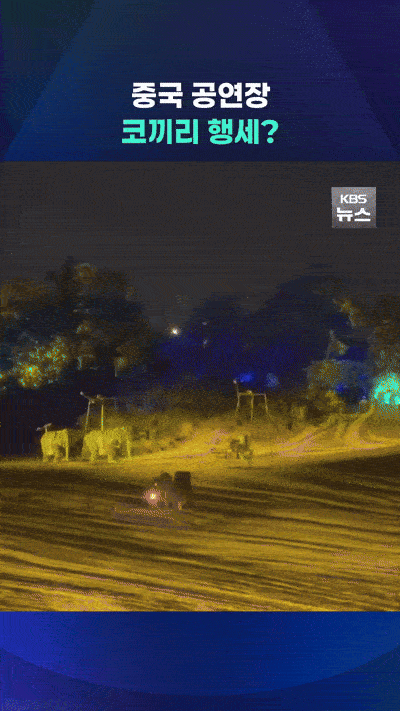 1000051855.gif