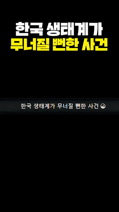 1000051863.gif