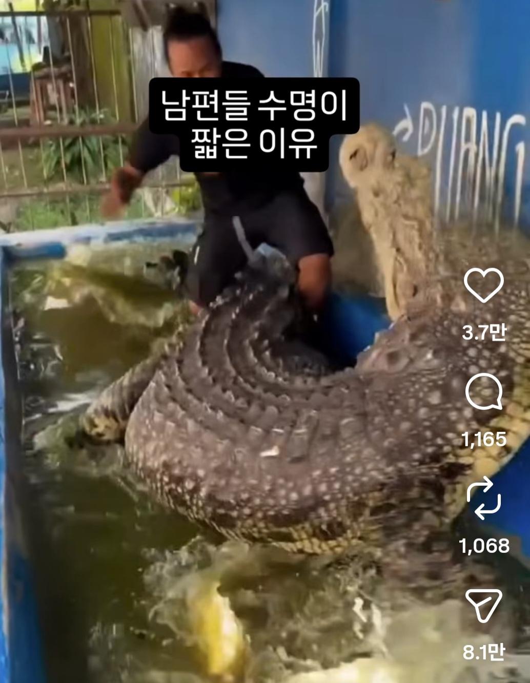 Screenshot_20260429_190936_Instagram.jpg