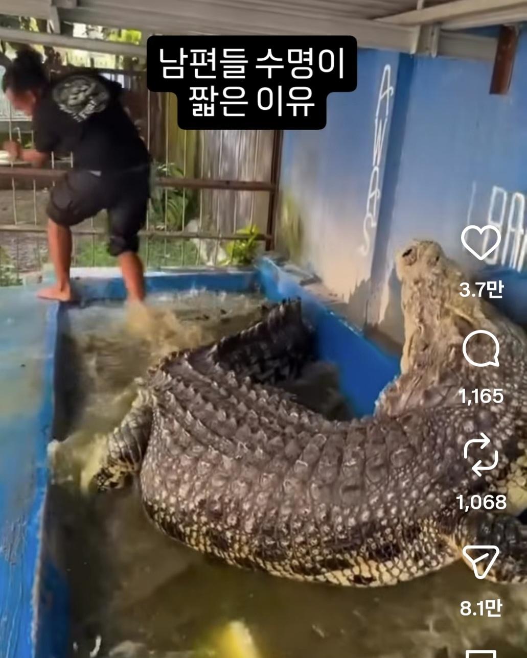 Screenshot_20260429_190950_Instagram.jpg