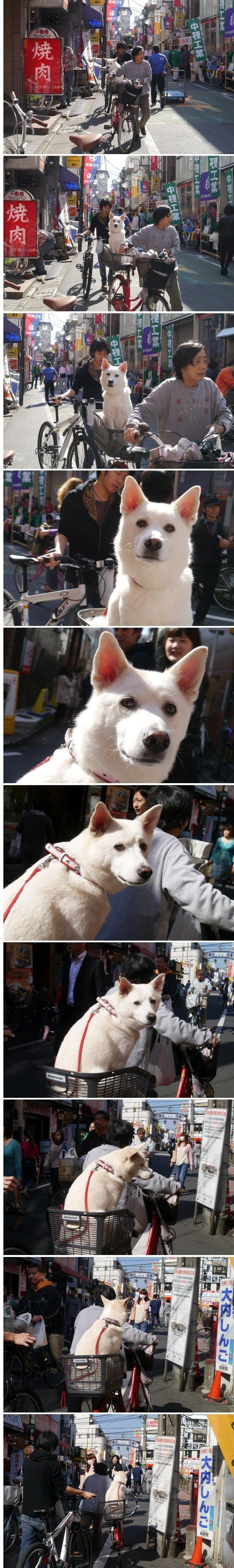 1000099995.webp