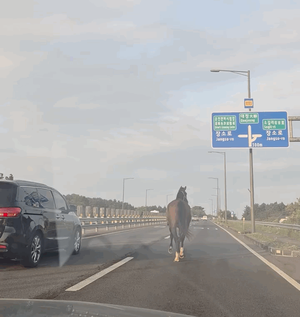 IMB_4Zw5mW.gif