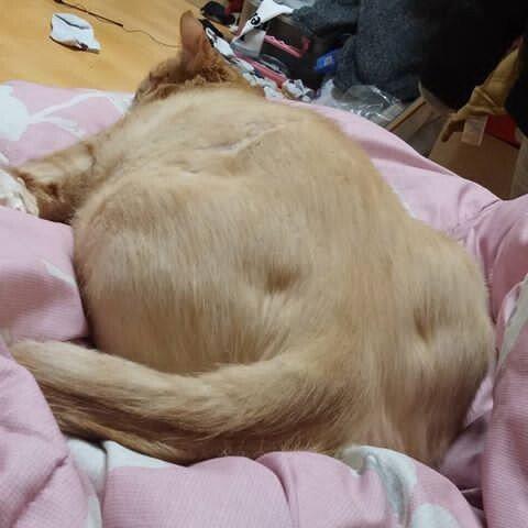 Internet_20260430_144349_8.jpeg