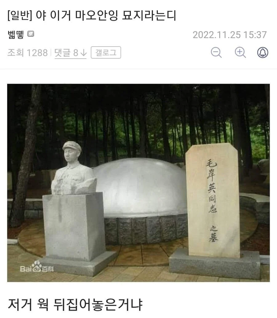 1000100290.webp