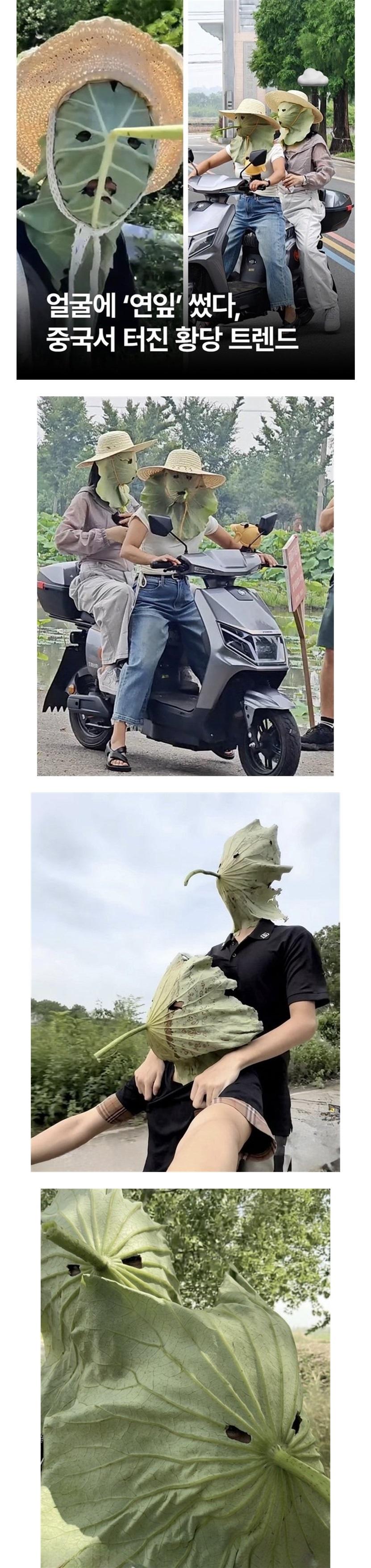 1000100380.jpg