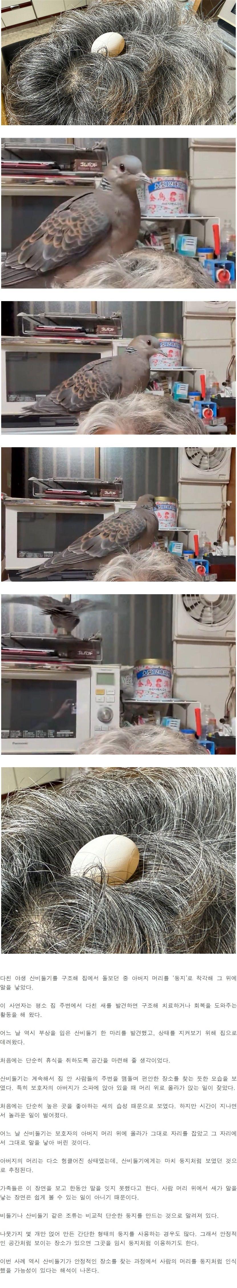 1000100507.jpg