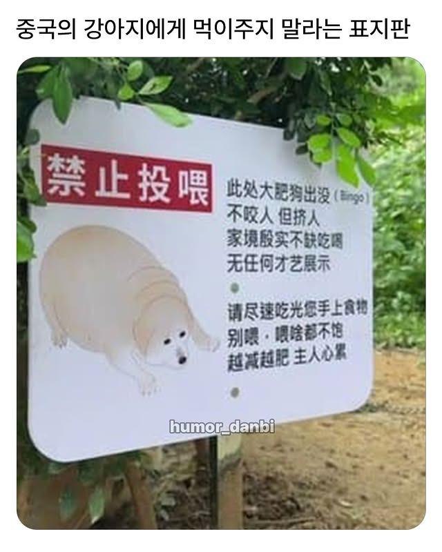 1000100508.jpg