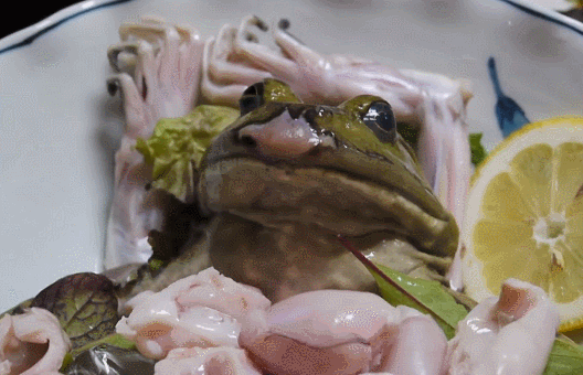 chin1727083434_1369054850.gif