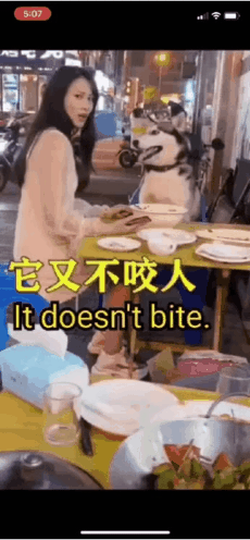 GIF_20260503_151706_676.gif