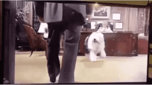 GIF_20260503_151736_084.gif