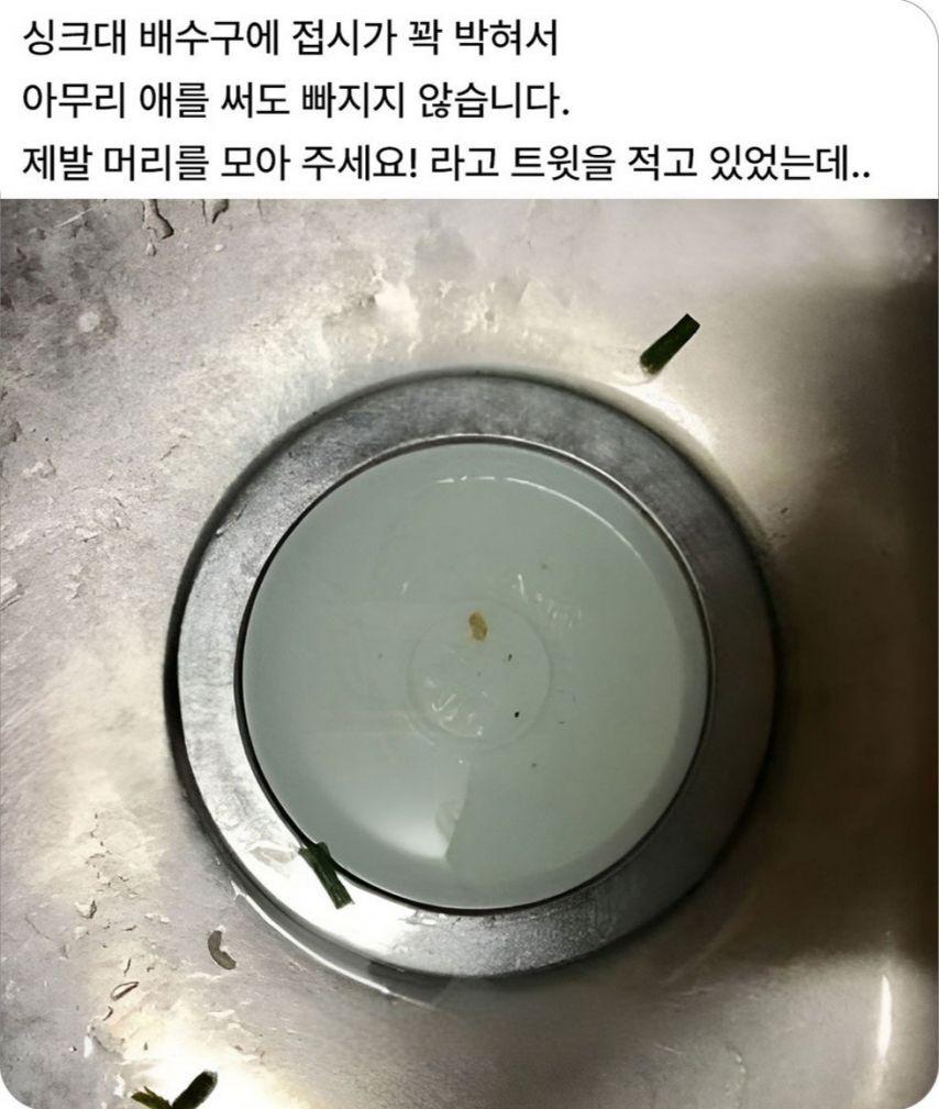 1000100549.jpg