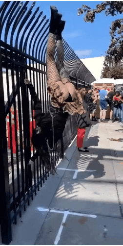 GIF_20260503_184443_550.gif