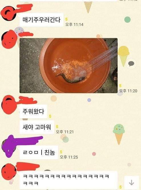 1000100620.jpg