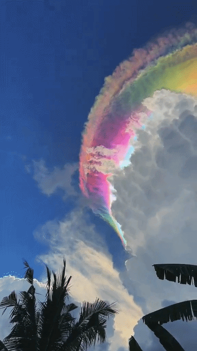 cb5255bec6c436d2573b23de1454e1bac4e4d18e_20260504082740.gif