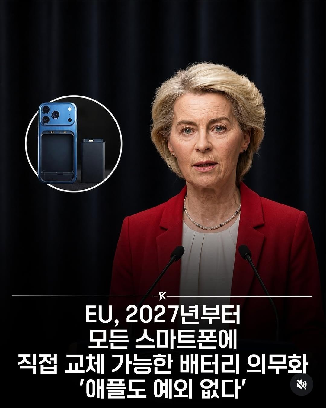 298.jpg