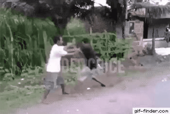 GIF_20260504_171733_944.gif