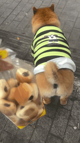 GIF_20260504_221356_279.gif