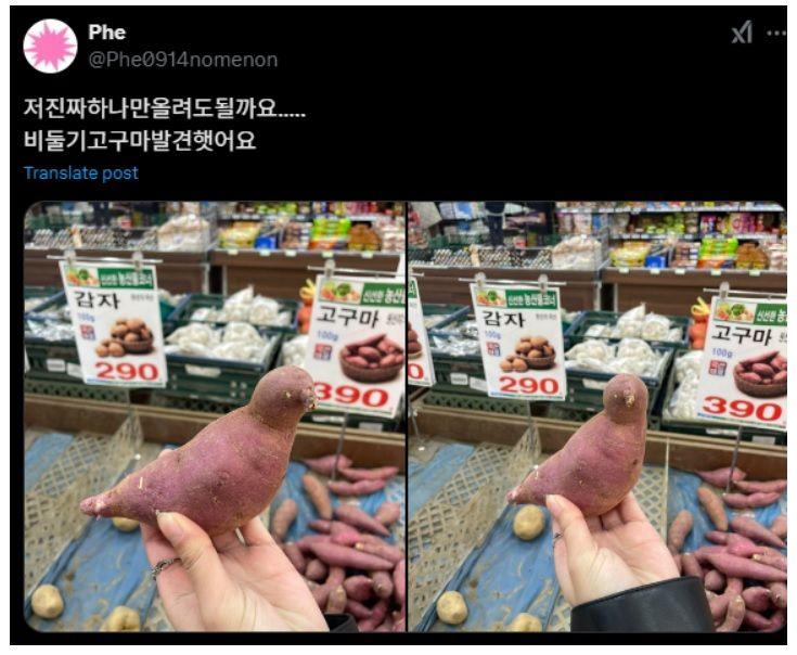 1000100708.jpg