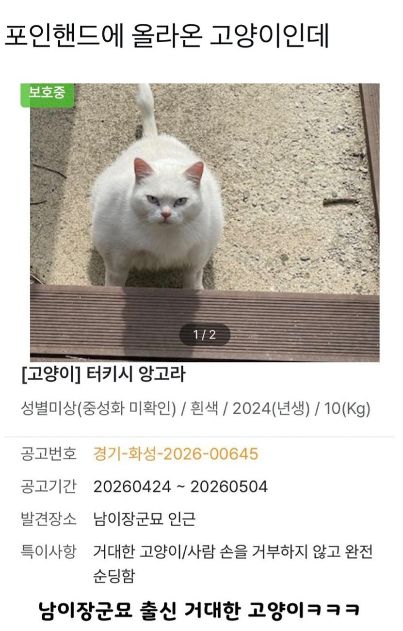 Screenshot_20260505_160644_Instagram.jpg