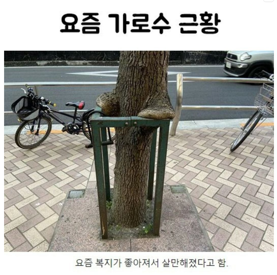 스크린샷 2026-05-06 094422.png