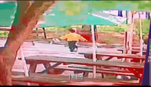 NISI20260505_0002127650_web.gif