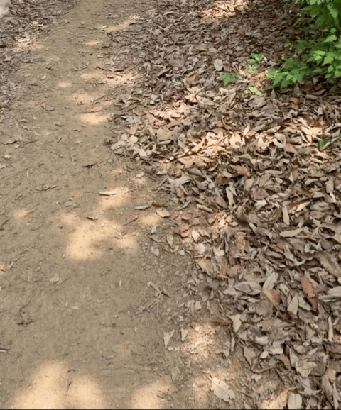 aaak1777339546_1583892736.gif