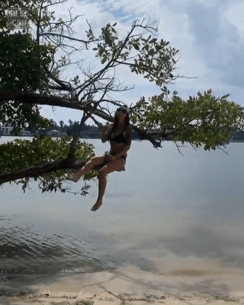 iron1653280088_1187930575.gif