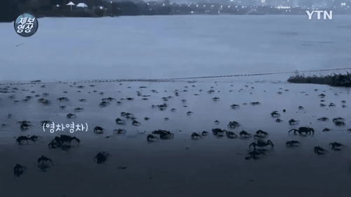 GIF_20260507_094150_579.gif