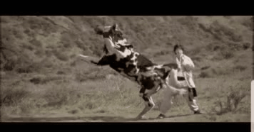 GIF_20260507_103819_626.gif