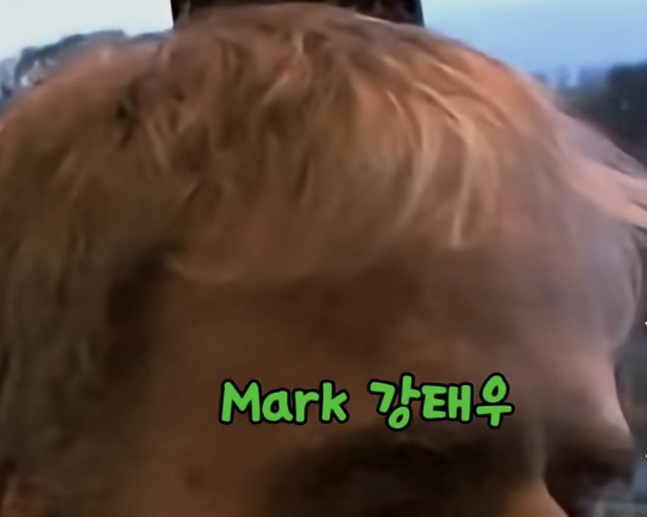 7379.jpg