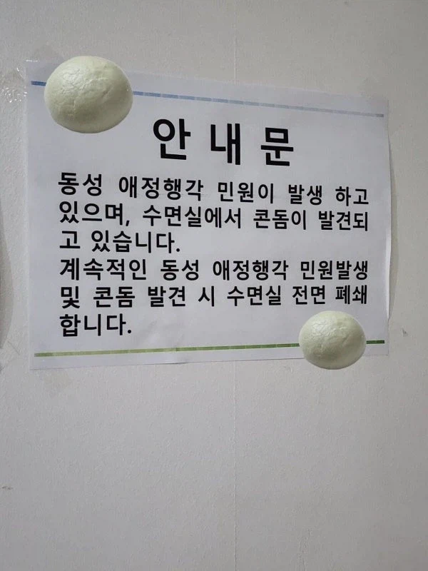 1000053757.webp