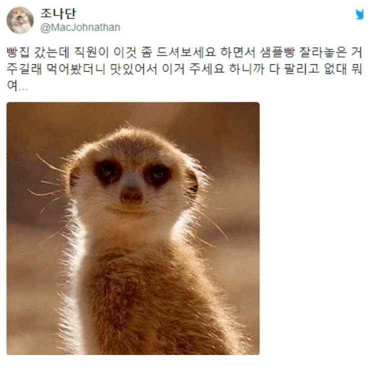 1000101373.webp